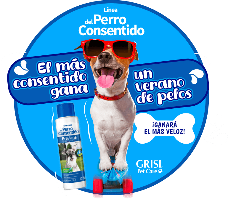 logotipo